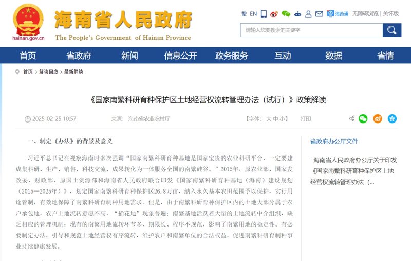 海口网站建设：企业数字化转型的桥梁